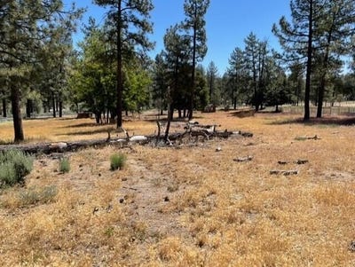 /international/us/59777-ca-74-mountain-center-ca-110103628133/