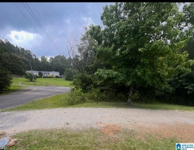 /international/us/old-forest-drive-lot-17a-odenville-al-110119667126/