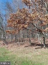 /international/us/n-paul-street-ashland-pa-110105236536/