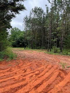 /international/us/01-parcel-2-county-road-6629-banks-al-110108856106/