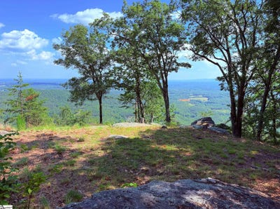 /international/us/southview-ledge-road-lot-62-landrum-sc-110109218302/