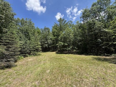 /international/us/s-loxley-road-houghton-lake-mi-110109197228/