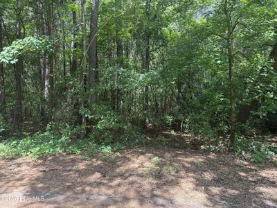 /international/us/herring-loop-road-wallace-nc-110108067645/