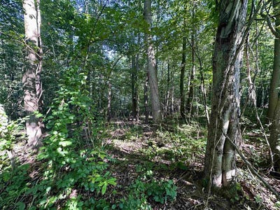 /international/us/tbd-walnut-hill-road-morgantown-wv-110101313844/?lang=zh-tw