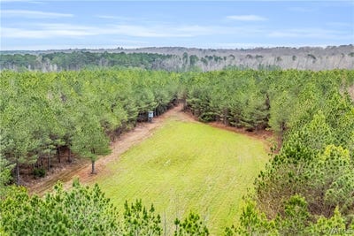 /international/us/county-rd-12-carrollton-al-110106038523/