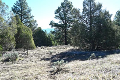 /international/us/nm-sr-64-tierra-amarilla-nm-110106846188/