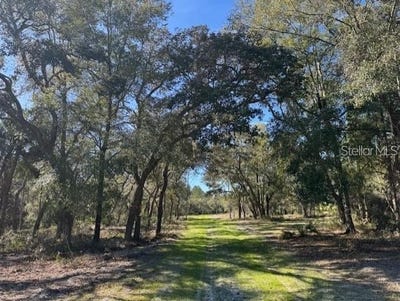 /international/us/ne-150th-ave-road-fort-mc-coy-fl-110098910113/?lang=es
