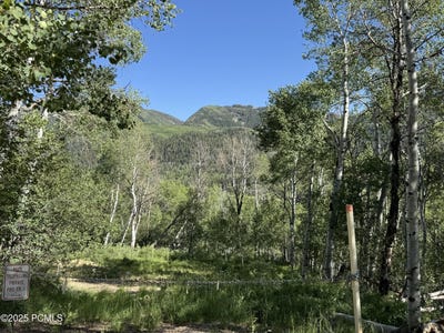 /international/us/5592-fremont-trail-oakley-ut-110100524439/