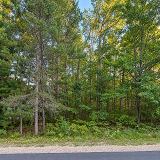 /international/us/indian-wood-drive-lot-98-roscommon-mi-110110374319/