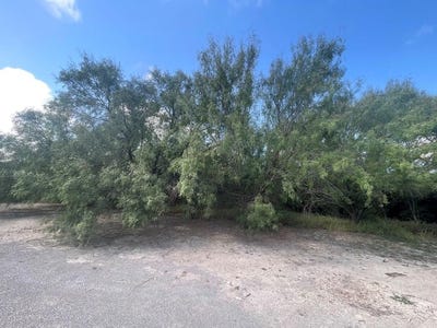 /international/us/270-buena-vista-crystal-city-tx-110094577080/