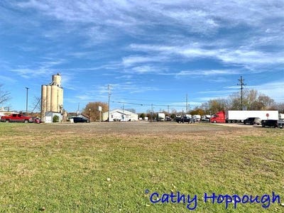 /international/us/261-s-dexter-street-ionia-mi-110090902081/?lang=zh-tw