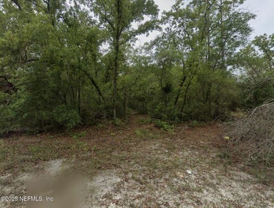 /international/us/164-lake-circle-satsuma-fl-110097915931/
