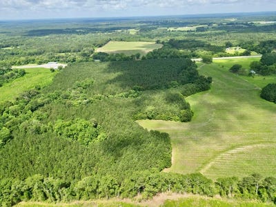 /international/us/1219-us-hwy-231-brundidge-al-110104781361/
