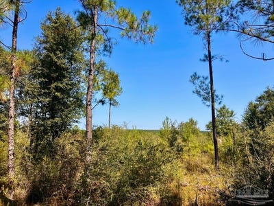 /international/us/sounder-dr-lot-6-molino-fl-110102661472/
