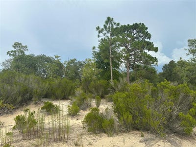 /international/us/ne-85th-st-bronson-fl-110101073979/?lang=zh-tw