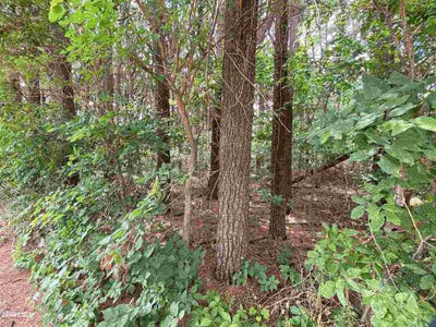 /international/us/squire-circle-lot-3-thomson-il-110069519222/