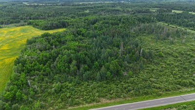 /international/us/8xxx-townline-road-forbes-mn-110109192014/