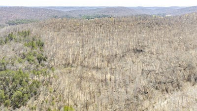 /international/us/000-burfield-monticello-ky-110098271442/
