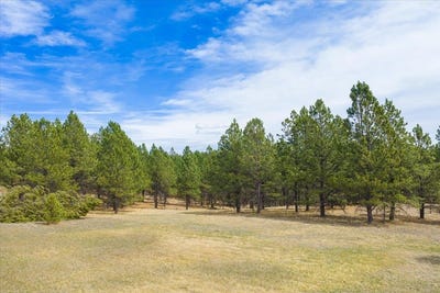 /international/us/tbd-w-argyle-road-custer-sd-110107465912/