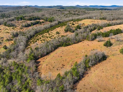 /international/us/fox-den-lane-street-lot-2-gainesville-mo-110108016716/