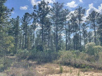 /international/us/holly-springs-rd-foxworth-ms-110103071678/
