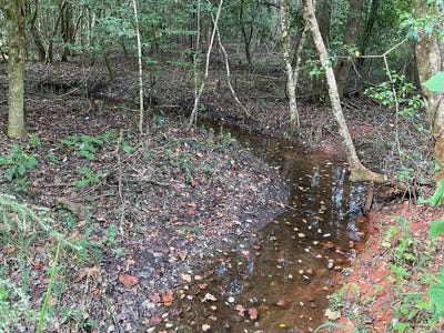 /international/us/750-pond-creek-rd-luverne-al-110084574942/