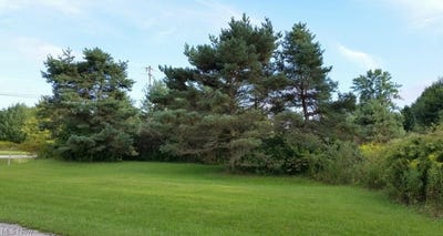 /international/us/2498-hayford-road-roaming-shores-oh-110092564432/?lang=zh-tw