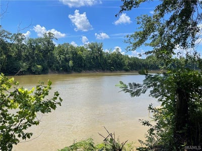 /international/us/195-riverview-beach-road-moundville-al-110105982057/