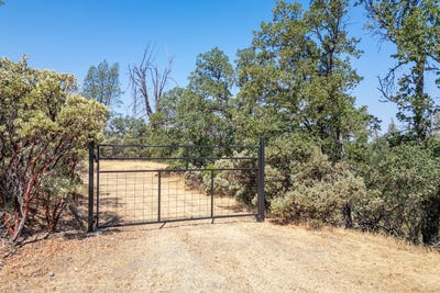/international/us/20-acres-rolling-ridge-road-cottonwood-ca-110101014185/?lang=de