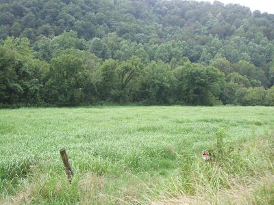 /international/us/hueysville-ky-110101347906/?lang=zh-tw