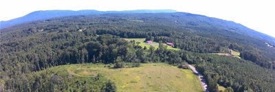 /international/us/nc-highway-89-francisco-nc-110107934872/