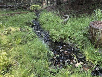 /international/us/tbd-farrens-creek-ln-grangeville-id-110109663484/