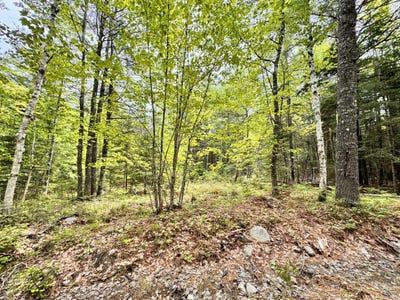 /international/us/18-b-back-pasture-lane-blue-hill-me-110107925878/