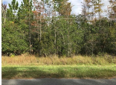 /international/us/robertson-street-orlando-fl-110100985721/?lang=zh-tw