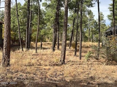 /international/us/631-s-mountain-pines-avenue-show-low-az-110095548384/