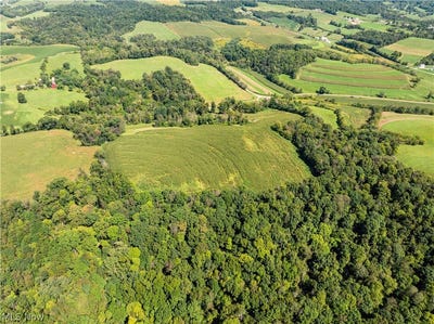 /international/us/deibel-road-stone-creek-oh-110110220348/