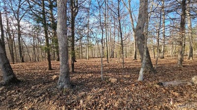 /international/us/774a-village-green-drive-lake-sherwood-mo-110104431061/