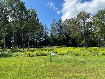 /international/us/lot-8-tanglewood-development-allegany-ny-110081514606/?lang=zh-tw