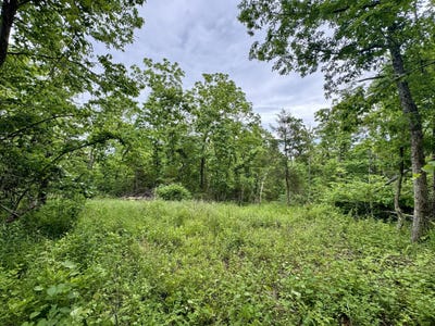 /international/us/hart-road-macomb-mo-110108491968/