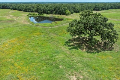 /international/us/9830-county-road-4028-kemp-tx-110105511454/