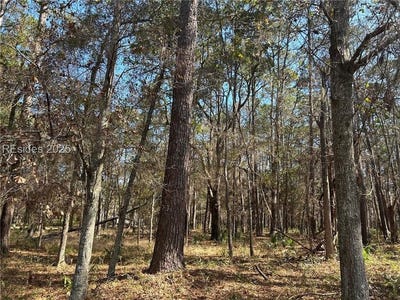 /international/us/14-captain-monroe-lane-daufuskie-island-sc-110097644091/?lang=zh-tw