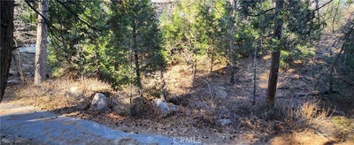 /international/us/0-meadow-drive-lake-arrowhead-ca-110104909090/