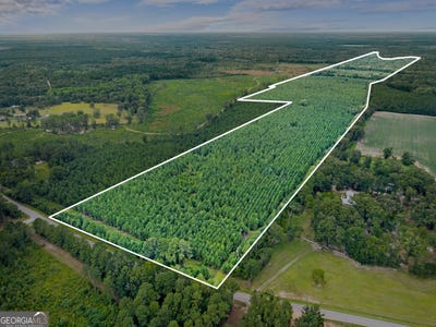 /international/us/apprx-218-acres-old-river-statesboro-ga-110101425562/