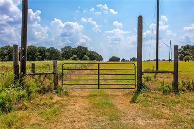 /international/us/11733-winstead-lane-calvert-tx-110102520182/