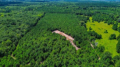 /international/us/9617-al-hwy-22-orrville-al-110101230893/?lang=zh-tw