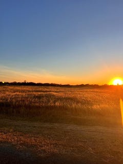 /international/us/16-northpointe-circle-rockport-tx-110095901397/