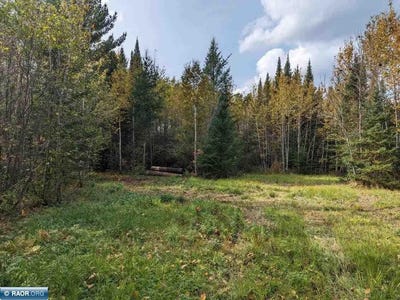 /international/us/deer-river-line-littlefork-mn-110108815280/