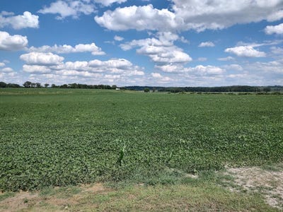 /international/us/1775-138th-trail-little-sioux-ia-110108960060/