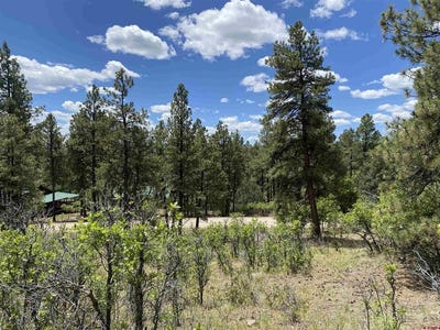 /international/us/124-granada-drive-pagosa-springs-co-110108397769/
