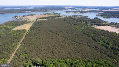 /international/us/taylors-island-rd-woolford-md-110107611640/